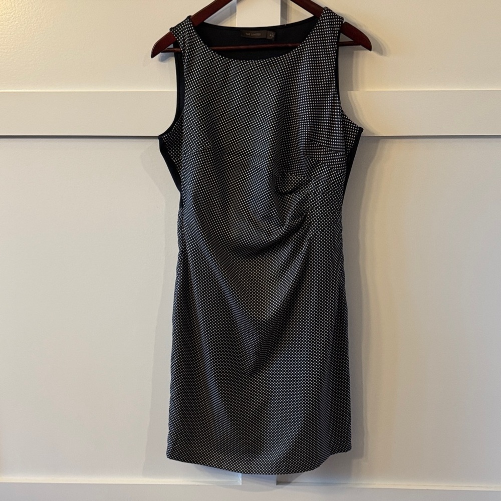 The Limited Dress